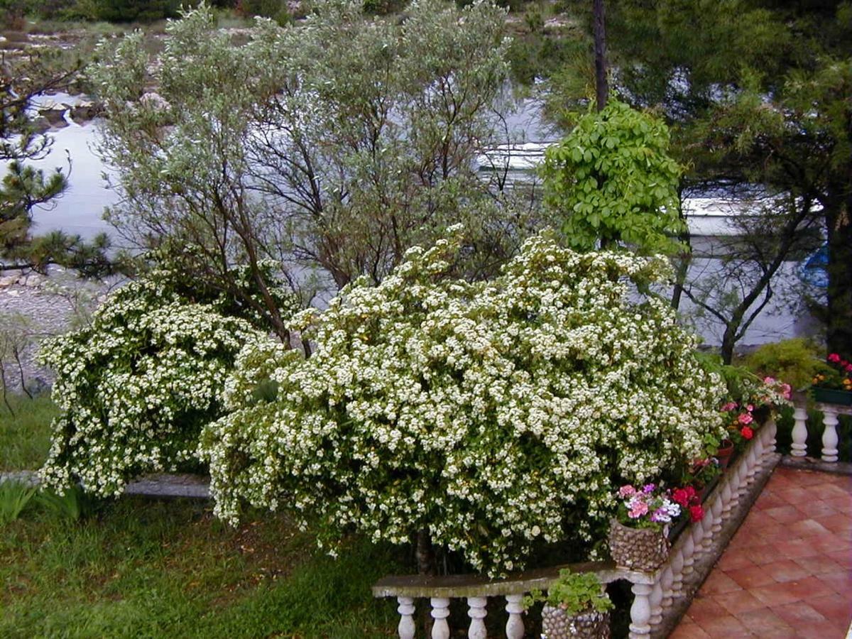 Villa Jaz Seline Exterior foto